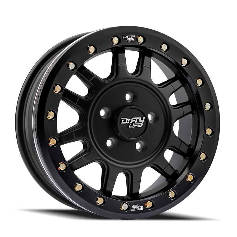 DLW Canyon Pro 9309 Wheels