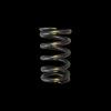 BC Valve Springs
