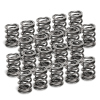 SPT Dual Valve Springs