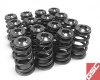 GSC Valve Spring Kits