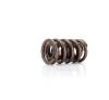CCA Valve Springs