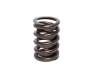 CCA Valve Springs