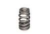 CCA Valve Springs
