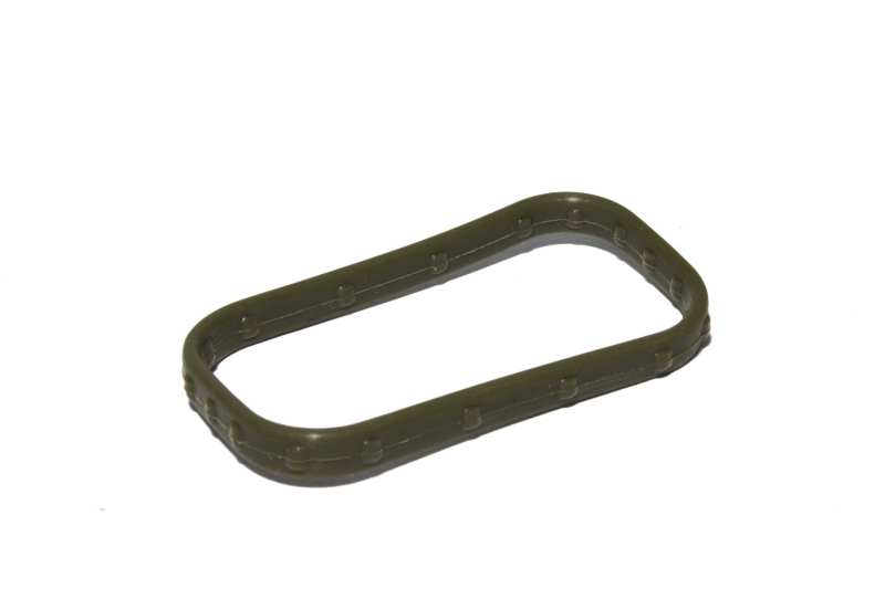 FAST Replacement Intake Port Seal thumbnail 3