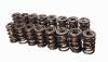 CCA Valve Spring Sets