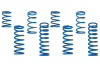 KIN 3.0 ID Coil Springs