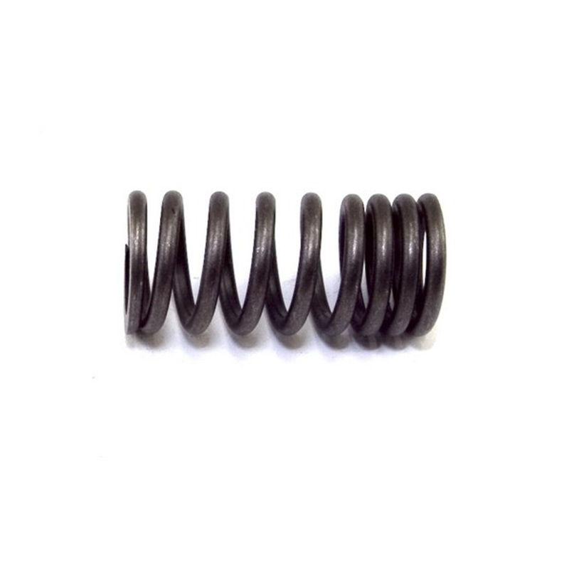 OMI Valve Springs