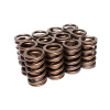 EDE Valve Springs