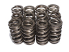 CCA Valve Spring Sets