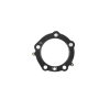 CG Powersports Head Gasket