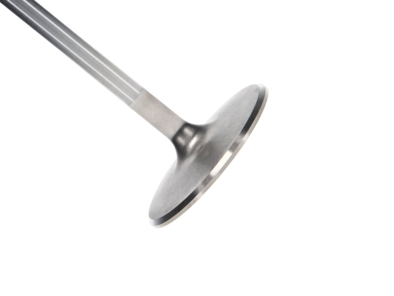 MAN Intake Valve Kits