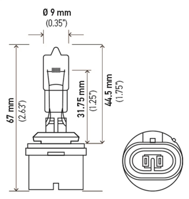 Hella Bulb 892 12V 16W Pg13 T325 thumbnail 3
