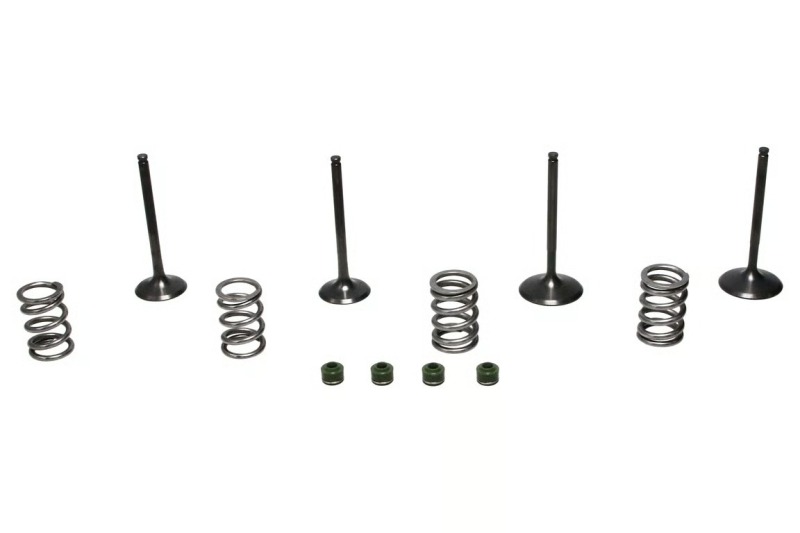 Wiseco 06-11 Suzuki LT-R450 Steel Valve Set