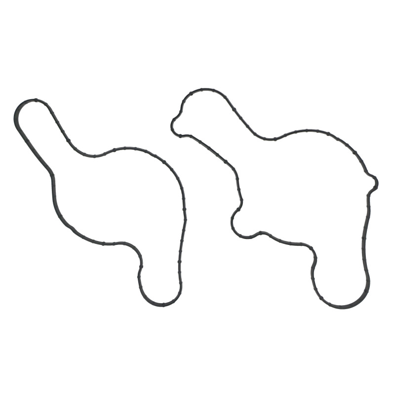 FEL Water Pump Gaskets