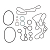 CG Oil Pan Gaskets