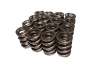CCA Valve Spring Sets