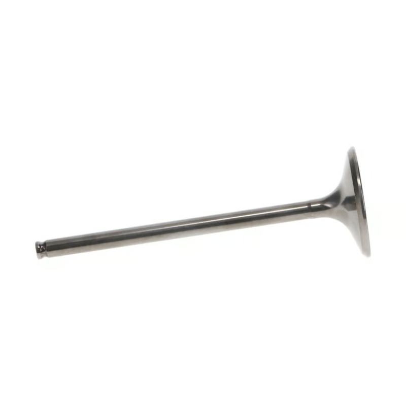 WIS Intake Valves