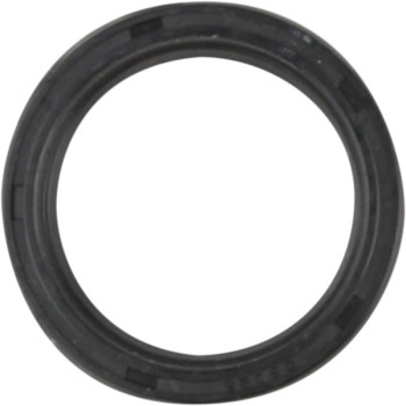 CG Oil Seal Kit