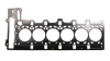 CG Head Gaskets