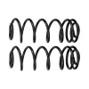 RHO Coil Spring Kits