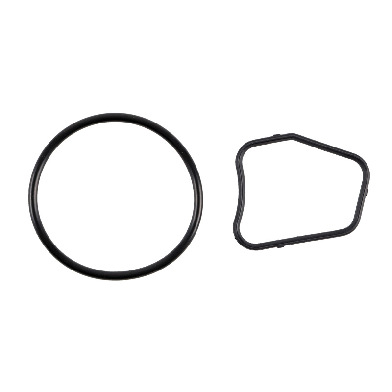 FEL Multi-Purpose O-Rings