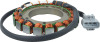 ARR Stator Coil