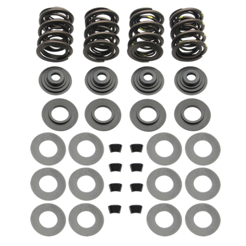 SSC Valve Springs