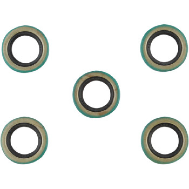 CG Oil Seal Kit