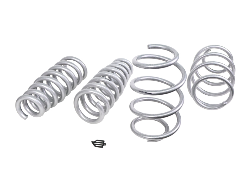 WL Performance Springs