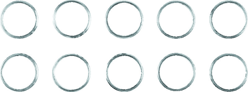 TWP Exhaust Gaskets