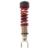 BT Coilover Kit