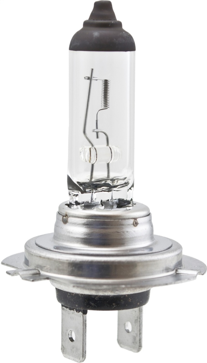 HELLA Halogen Bulb