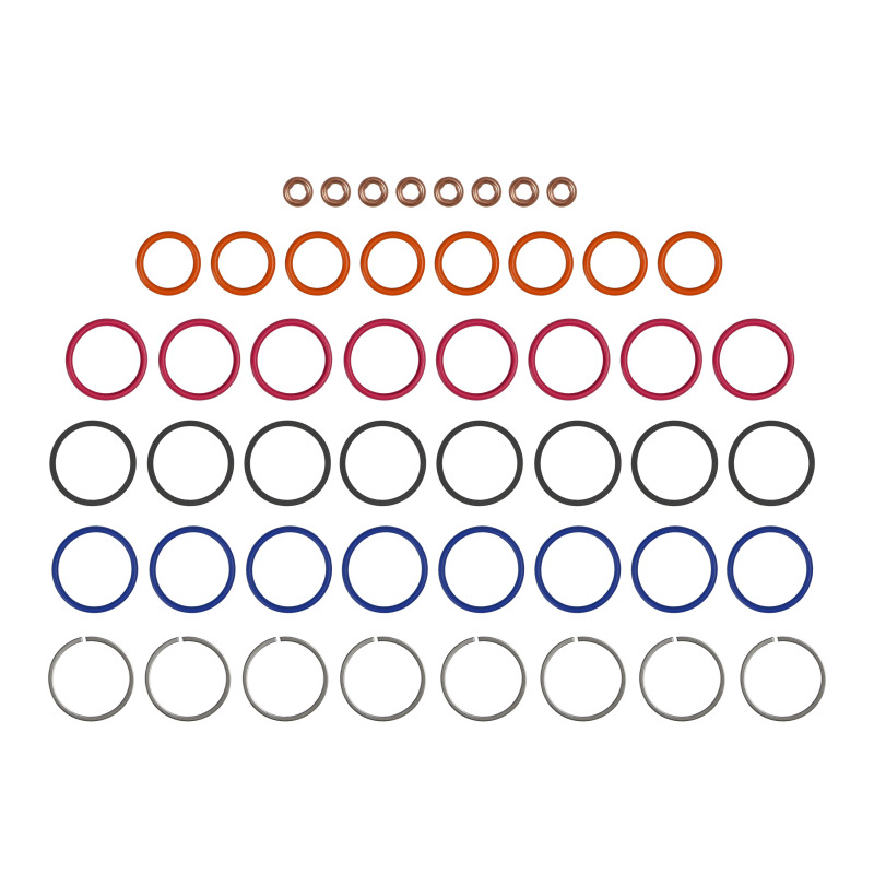 FEL Fuel Injector O-Rings