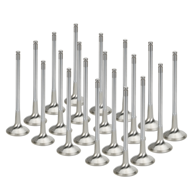 SPT Exhaust Valves