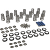 CCA Valve Spring Sets