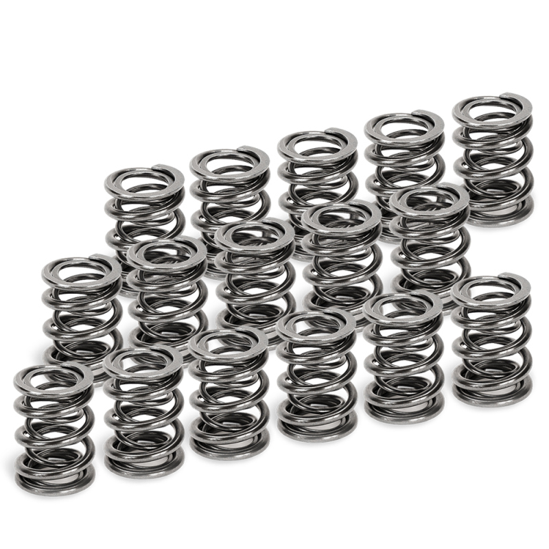 SPT Dual Valve Springs