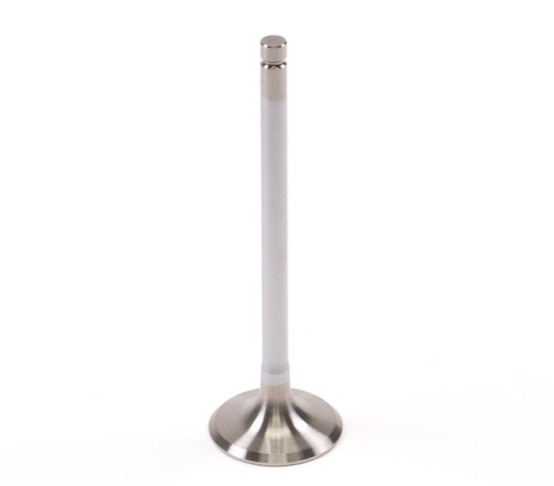 GSC Powersports Exhaust Valves