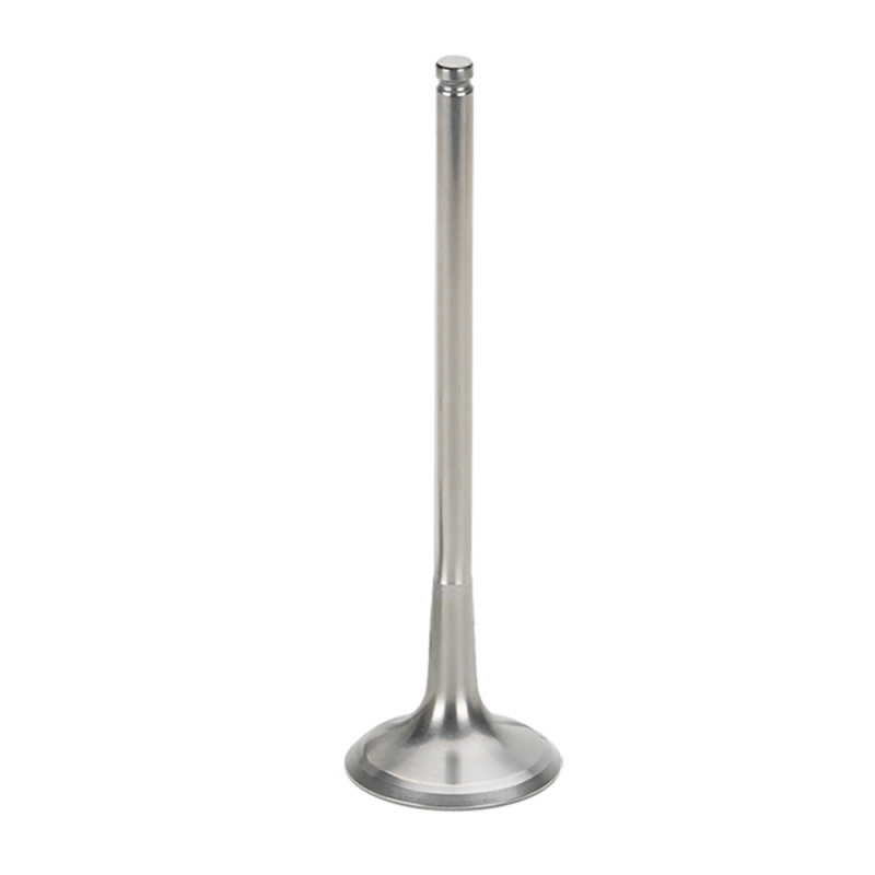 SPT PWS Exhaust Valves