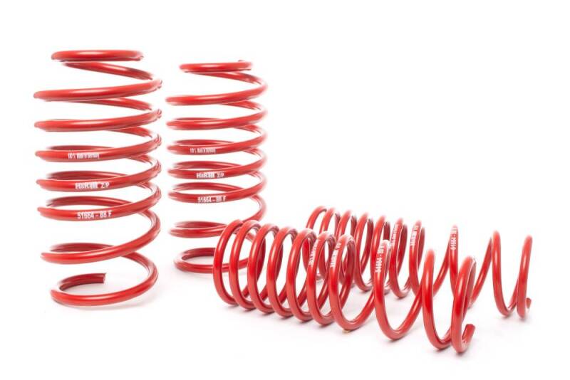 HR Race Springs