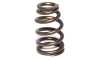 CCA Valve Springs