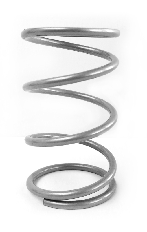 EPI Clutch Springs