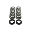 BT Pro Coil Spring Set