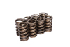 CCA Valve Spring Sets