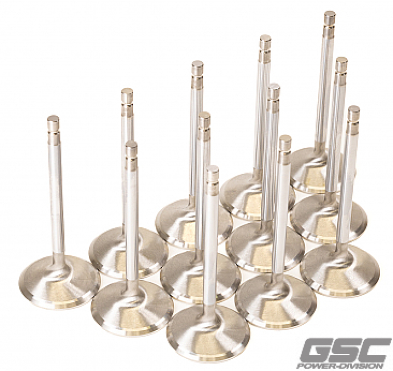 GSC Intake Valve Sets +1mm