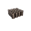 CCA Valve Spring Sets