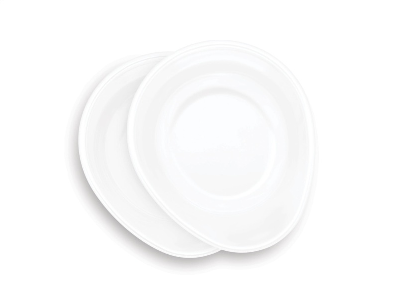 WT Pet Feeding System