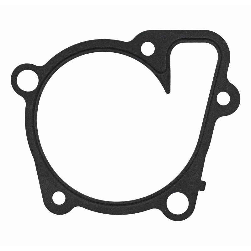 FEL Water Pump Gaskets