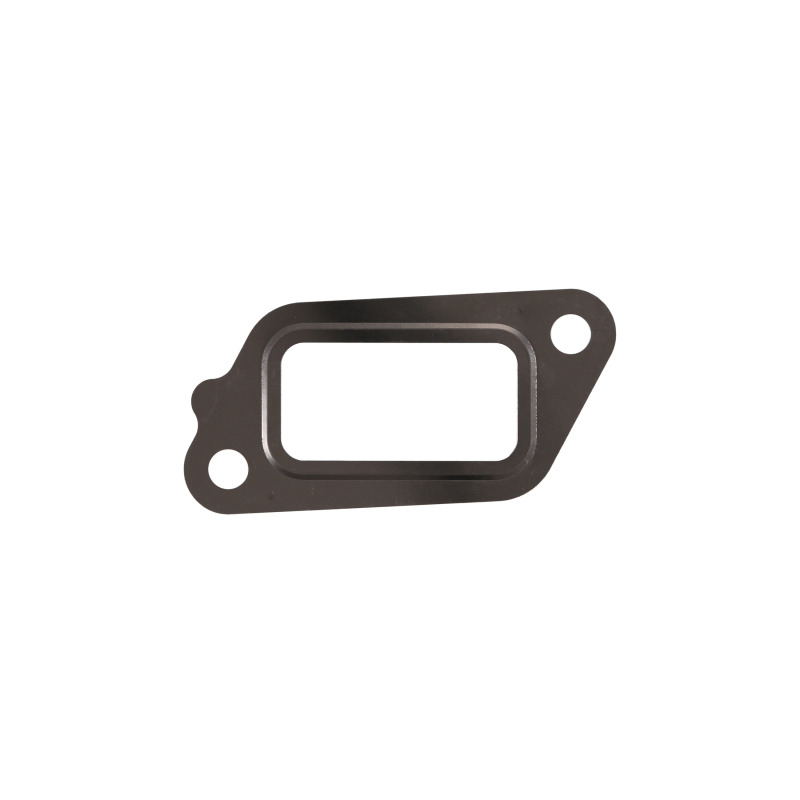 FEL Valve Gaskets