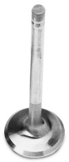 EDE Exhaust Valves