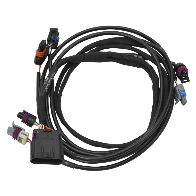 EDE Wiring Harness